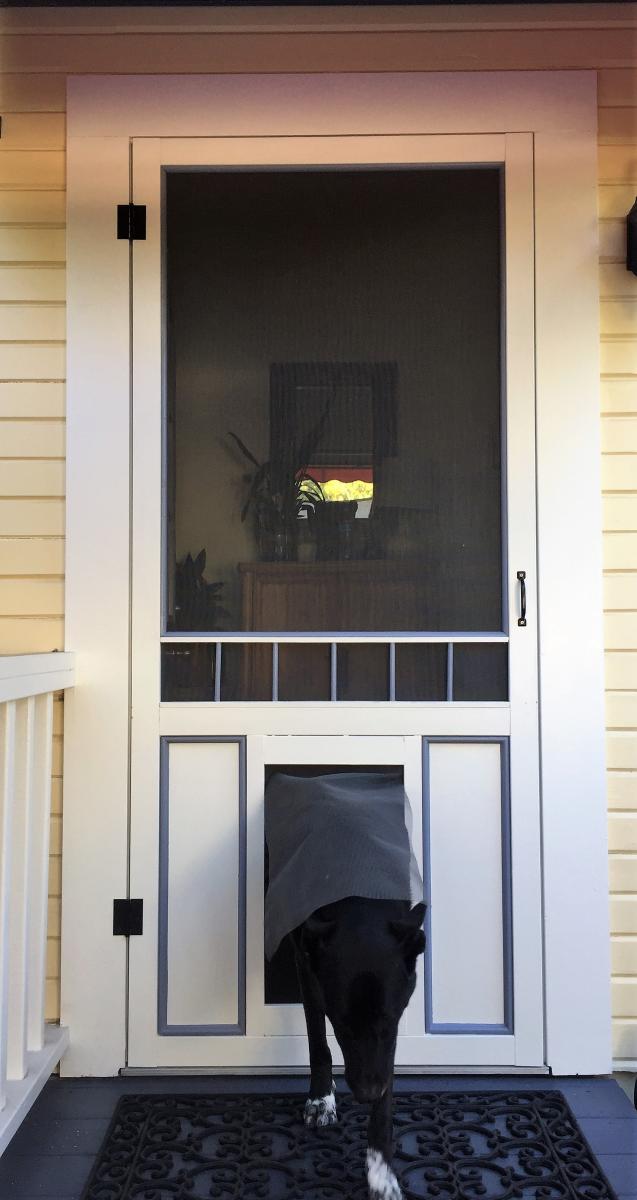 Screen Door 